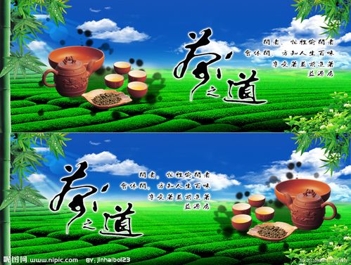 茶叶源文件__展板模板_广告设计_源文件图库